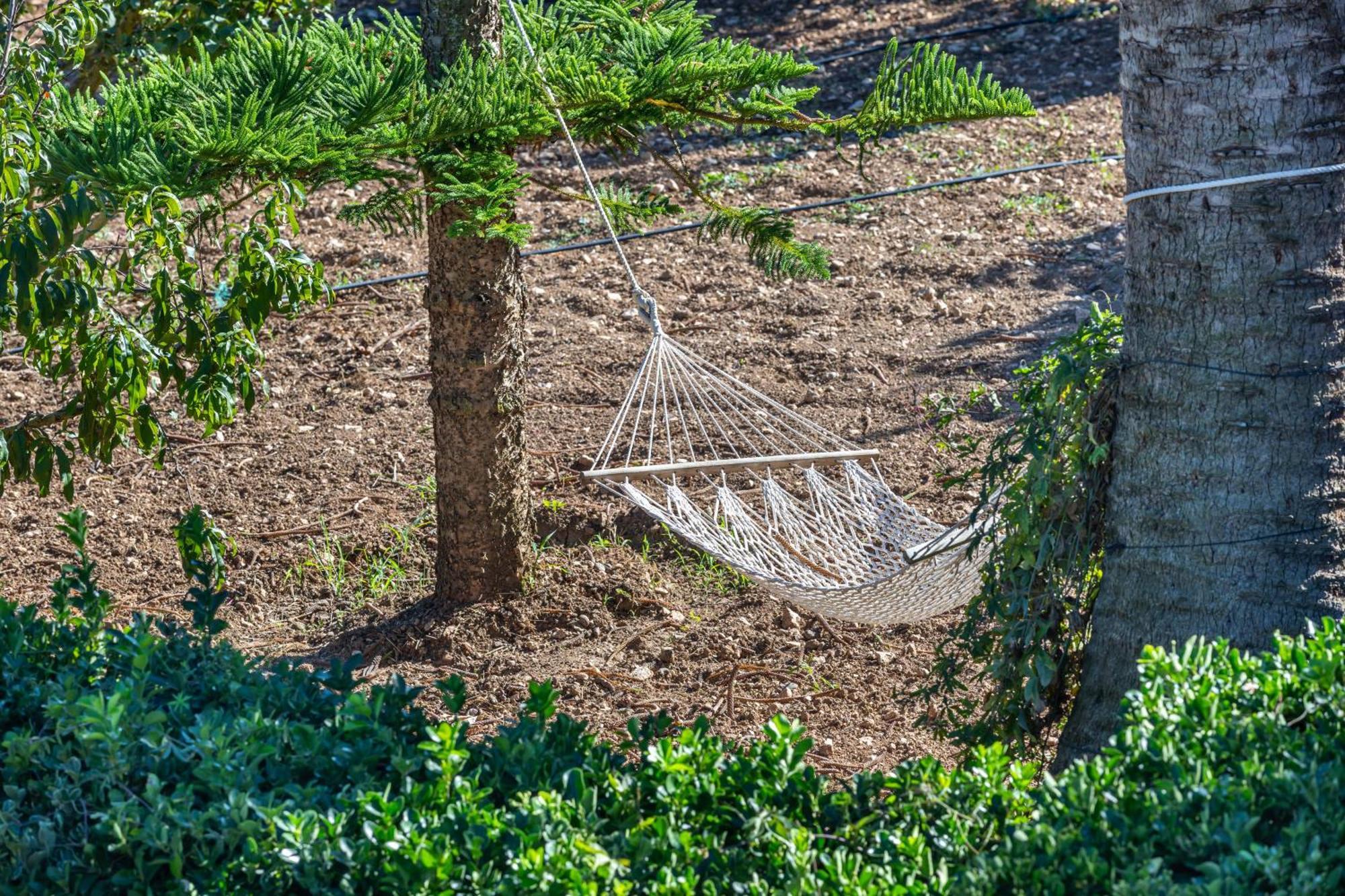 Finca Son Ramon Llull Villa Manacor  Exterior photo